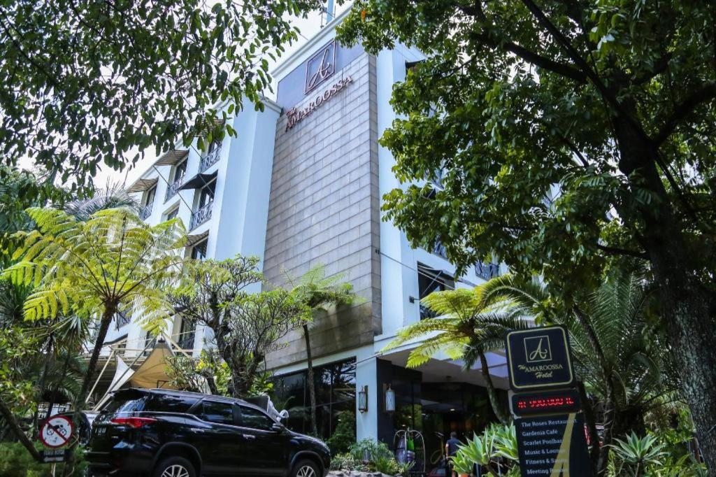 Hotel Amaroossa 4*